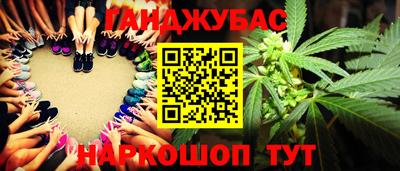 apvp Можга